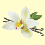 VANILLA